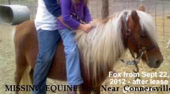 MISSING EQUINE Fox, Near Connersville, IN, 47331